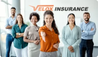 Velox Insurance agents